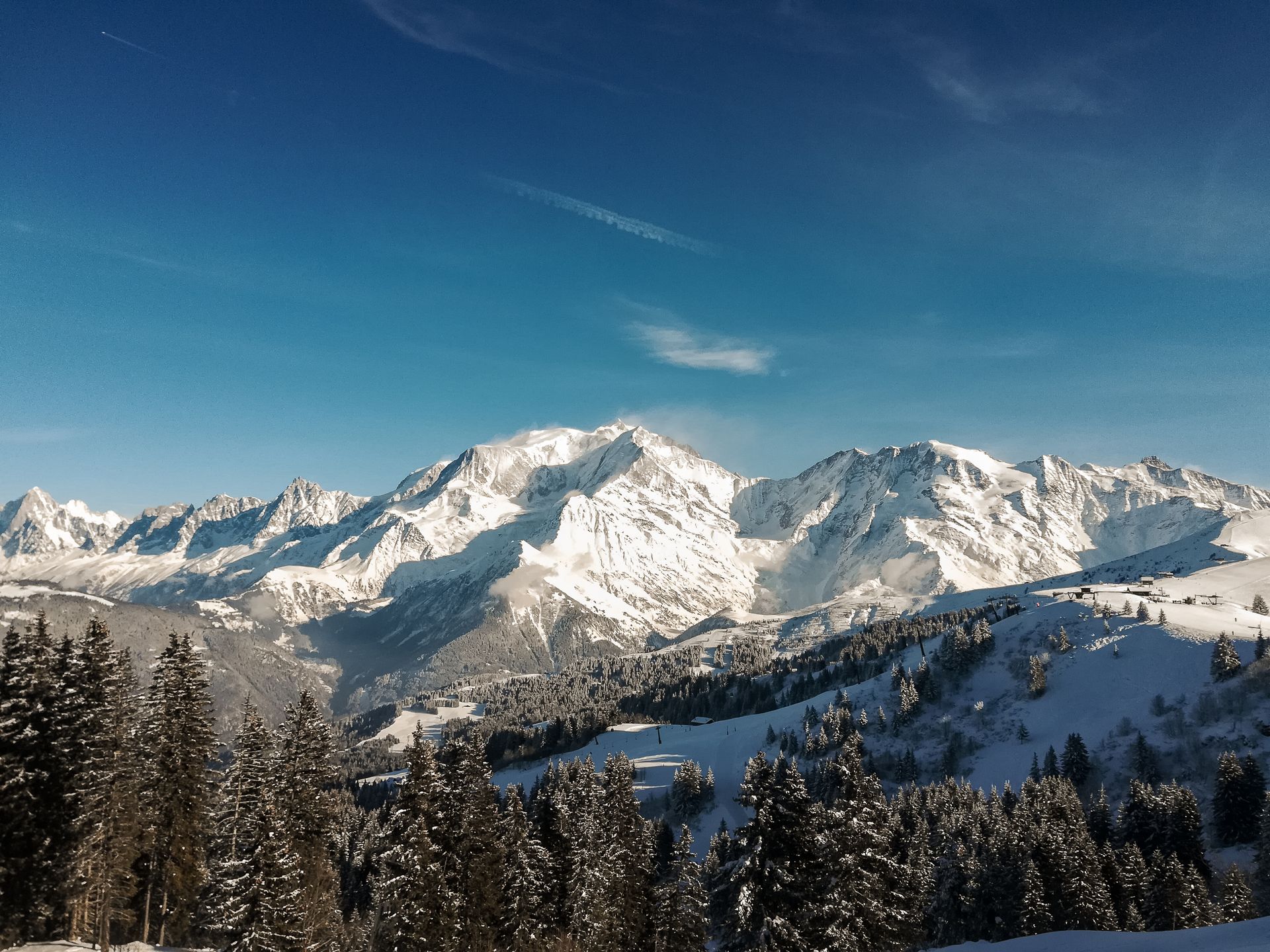 Alpine