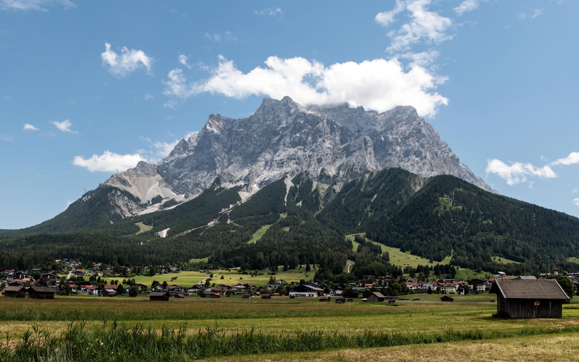 Alpine